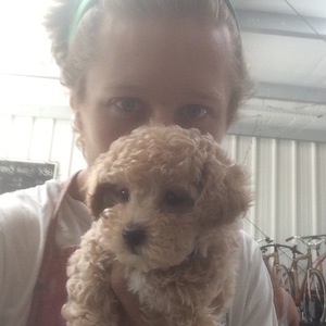 Griffin Cloud Levine